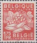 Stamp 807