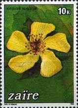 Stamp 852