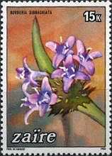 Stamp 853