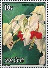 Stamp 856