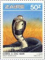 Stamp 943