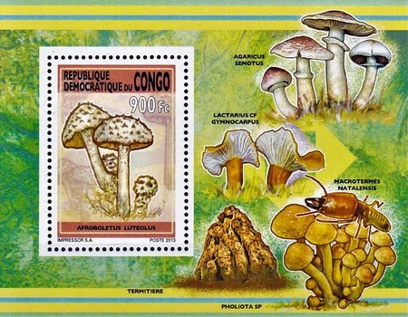 Stamp 2404