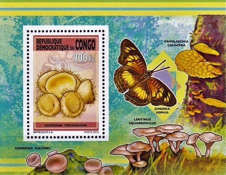 Stamp 2411
