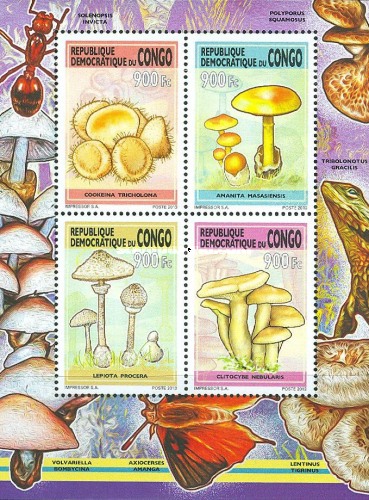 Stamp 2415