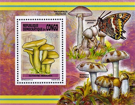 Stamp 2414