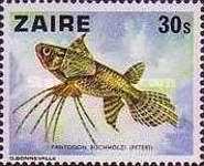 Stamp 545