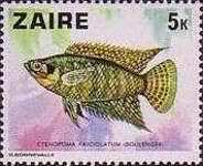 Stamp 547