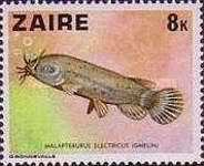 Stamp 548