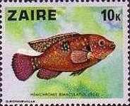 Stamp 549