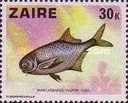 Stamp 550
