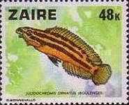 Stamp 552