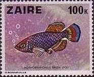 Stamp 553