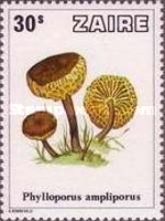 Stamp 596