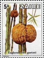 Stamp 597