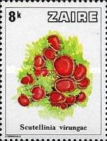 Stamp 598