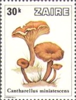 Stamp 600