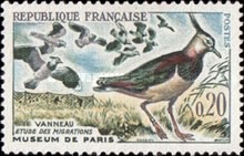 Stamp 1325