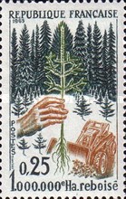 Stamp 1517