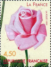 Stamp 3371