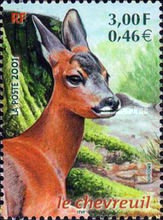 Stamp 3500