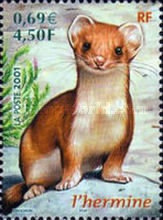 Stamp 3502
