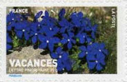 Stamp 4174