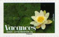 Stamp 4332