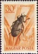 Stamp 1377