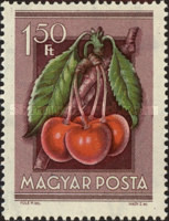 Stamp 1416