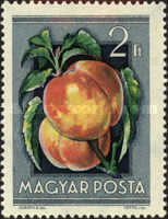 Stamp 1417
