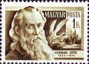 Stamp 1429