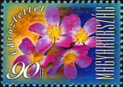Stamp 5115