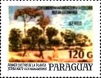 Stamp 4268