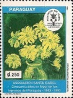 Stamp 4646
