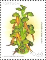Stamp 2649