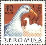 Stamp 2152