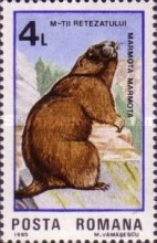 Stamp 4164