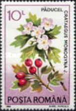 Stamp 4854