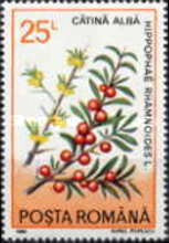 Stamp 4856