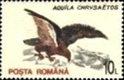 Stamp 4864