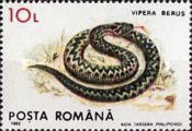 Stamp 4883