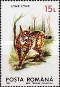 Stamp 4884