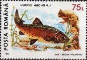 Stamp 4886