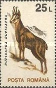 Stamp 4892
