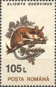 Stamp 4896