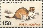 Stamp 4897