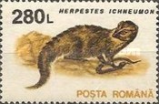 Stamp 4898