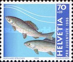 Stamp 1592