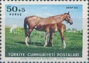 Stamp 1956